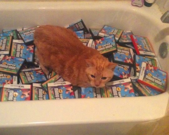 an orange cat sitting in a bathtub filled with boxed copies of New Super Mario Bros for the Nintendo DS